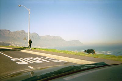 iti2 #18 Cape Town by Spo0ky
